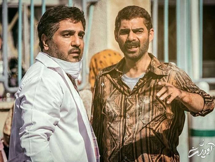 فیلم درخت گردو